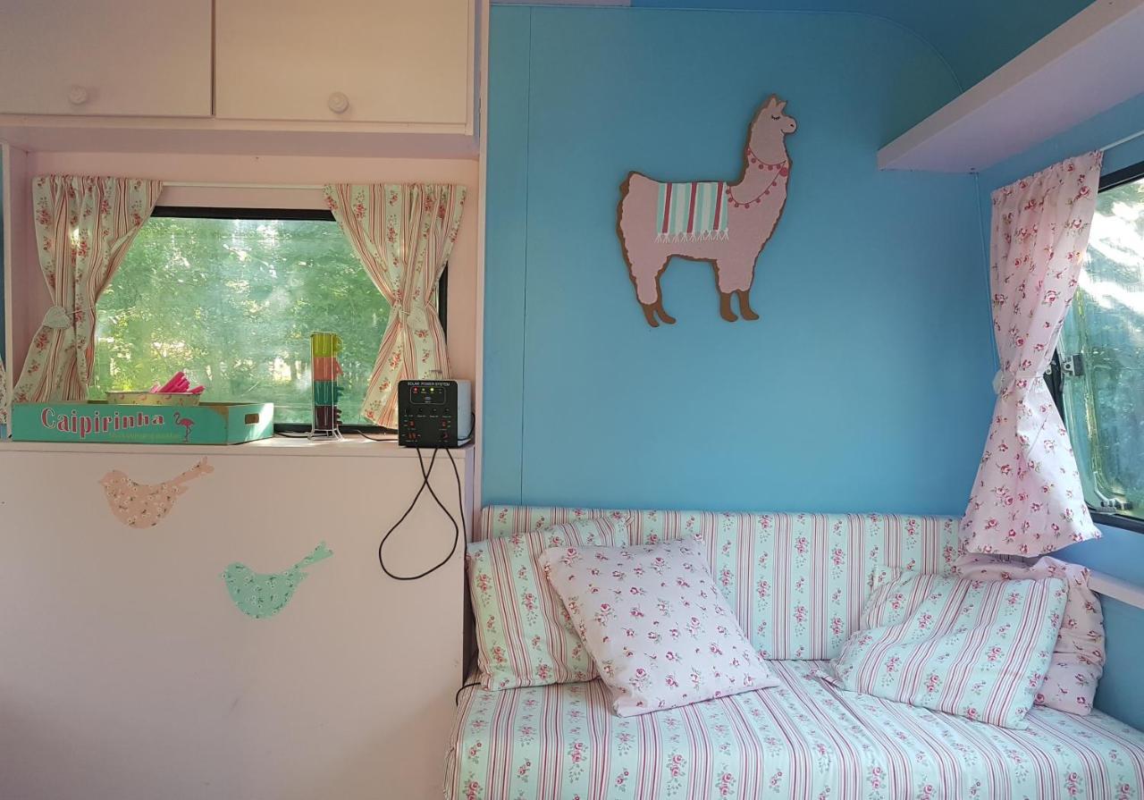 Camping Bois De St Hilaire Chalandray Экстерьер фото