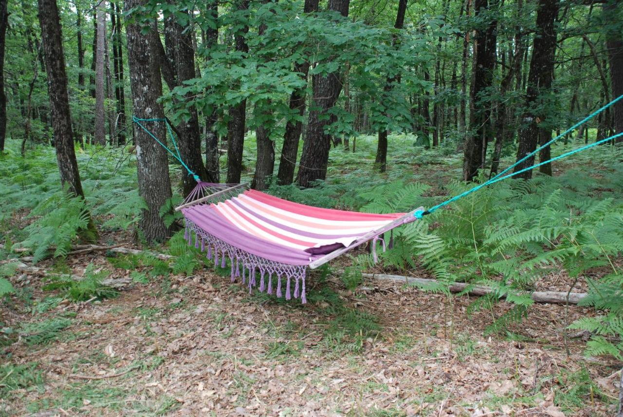 Camping Bois De St Hilaire Chalandray Экстерьер фото