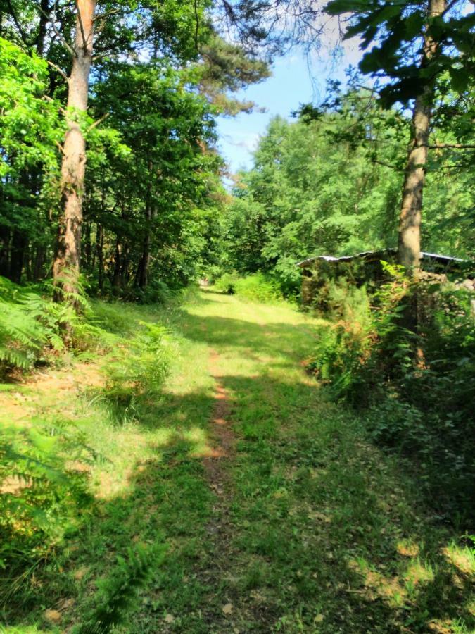 Camping Bois De St Hilaire Chalandray Экстерьер фото